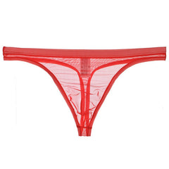Men's Sexy Silk Mesh Bikini Thin Thong