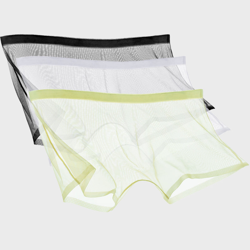 Ice Silk Sexy Mesh Full Transparent Boxer Shorts - Men's Fashion