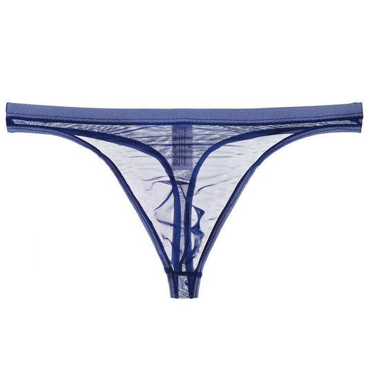 Men's Sexy Silk Mesh Bikini Thin Thong