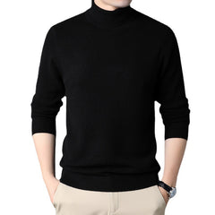 Men's Pure Wool Turtleneck Sweater