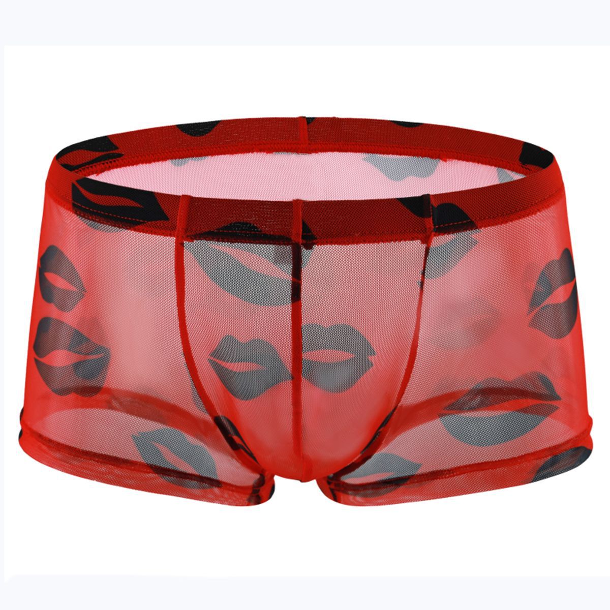 Men's Mesh Sheer Low Waist Panties