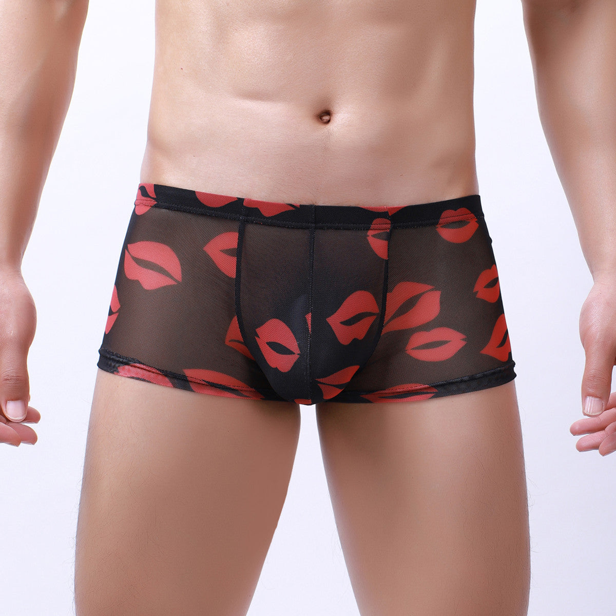 Men's Mesh Sheer Low Waist Panties