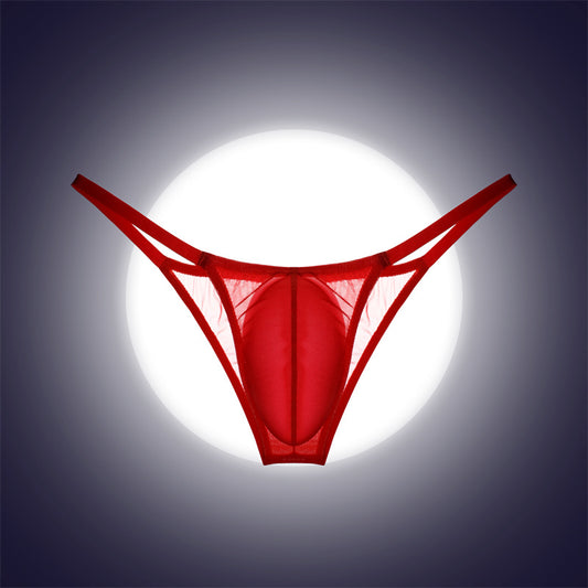 Men's Pouch Bag Mesh See-Through Ice Silk Underpants