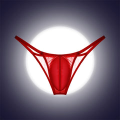 Men's Pouch Bag Mesh See-Through Ice Silk Underpants