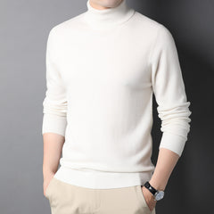 Men's Pure Wool Turtleneck Sweater