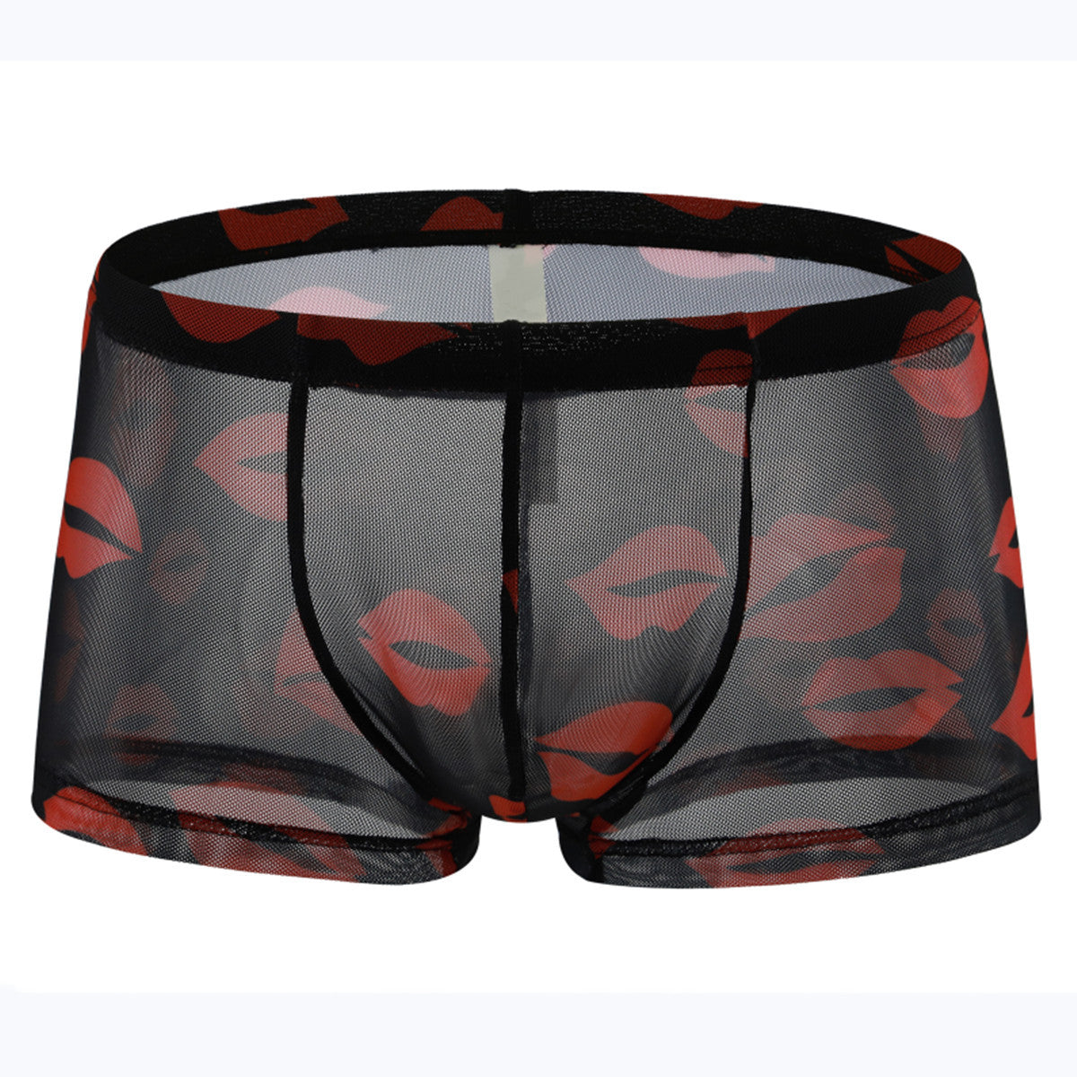 Men's Mesh Sheer Low Waist Panties