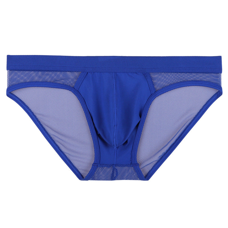 Mesh Fully Transparent Breathable Solid Color Briefs