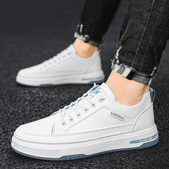 Men's Low Top Sneakers