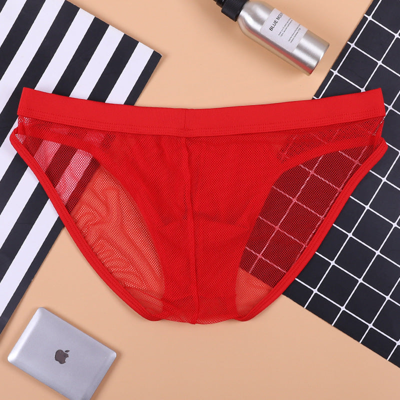 Mesh Fully Transparent Breathable Solid Color Briefs