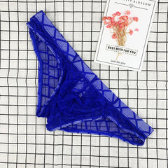 Sheer Lace Mesh Thong