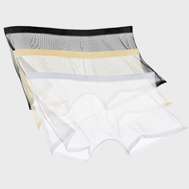 Ice Silk Sexy Mesh Full Transparent Boxer Shorts - Men's Fashion