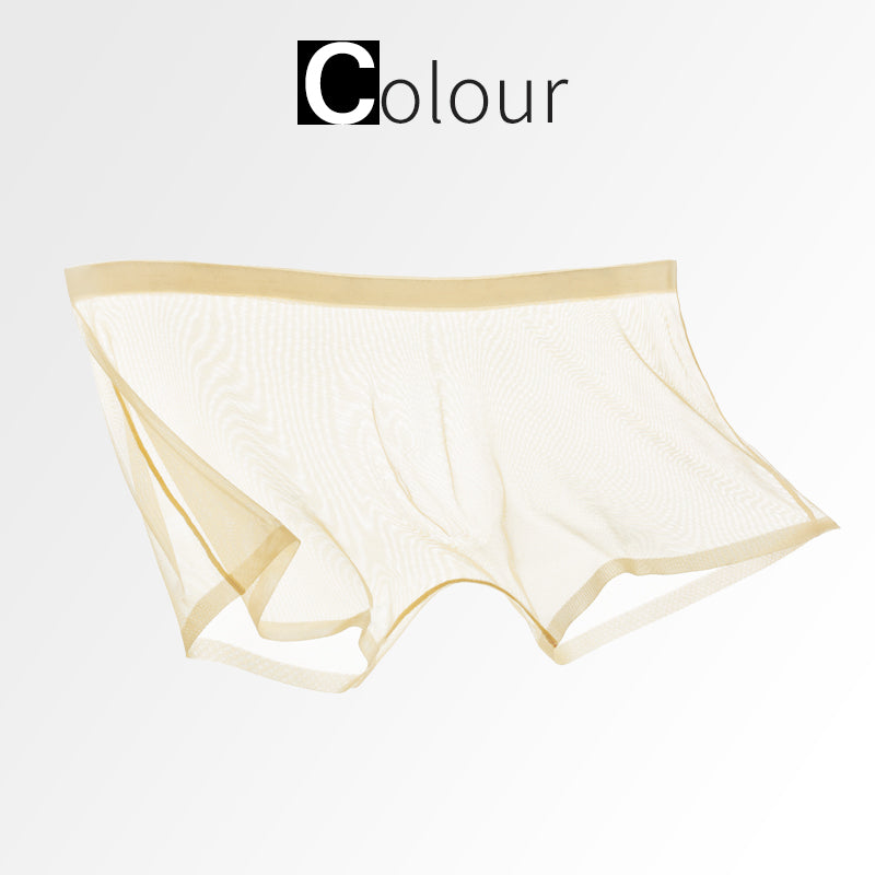 Ice Silk Sexy Mesh Full Transparent Boxer Shorts - Men's Fashion