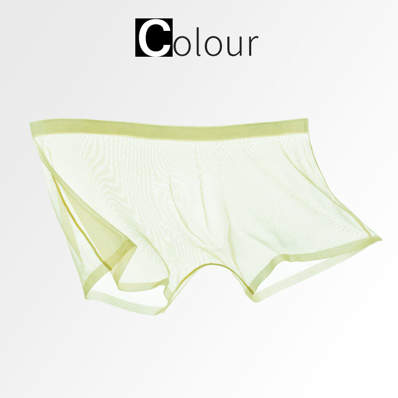 Ice Silk Sexy Mesh Full Transparent Boxer Shorts - Men's Fashion