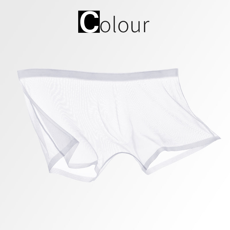 Ice Silk Sexy Mesh Full Transparent Boxer Shorts - Men's Fashion