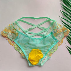 Men's sexy lace transparent mesh embroidered briefs